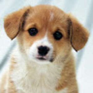 Meet your Posher, Ruth